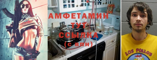 прущие грибы Михайловск