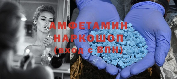 прущие грибы Михайловск