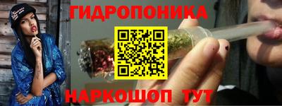 сатива Балахна