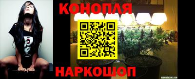 сатива Балахна