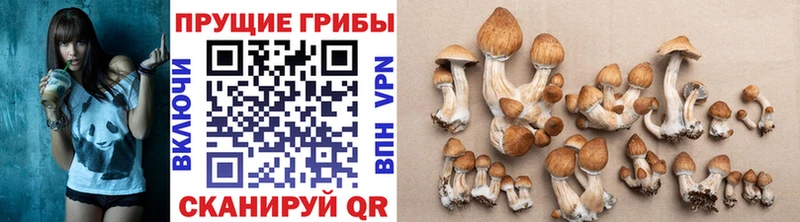 Галлюциногенные грибы мухоморы  наркошоп  Боровичи 