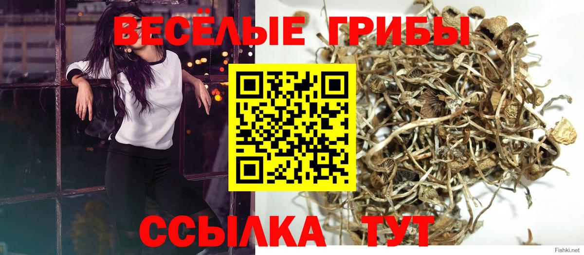 Галлюциногенные грибы мухоморы Боровичи
