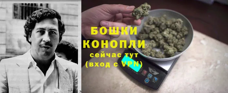 Конопля THC 21%  Боровичи 